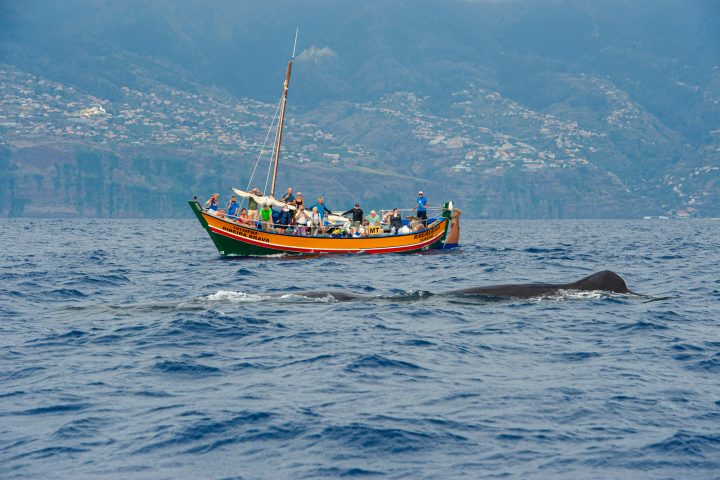 a small boat in a body of water