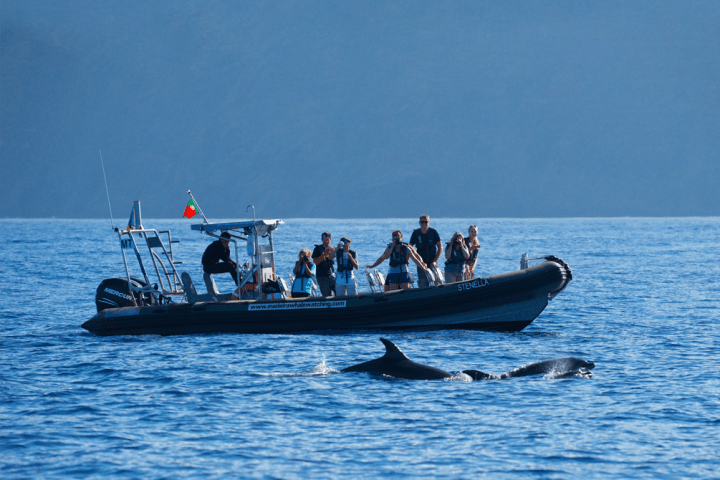 a group of people on a boat in a body of water