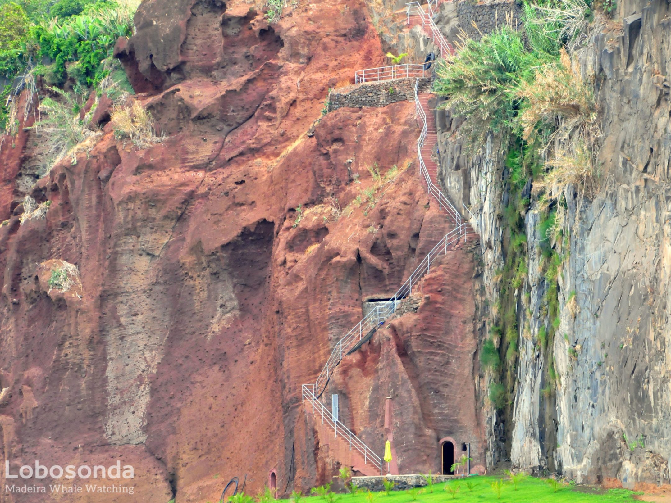 a canyon with a mountain in the background