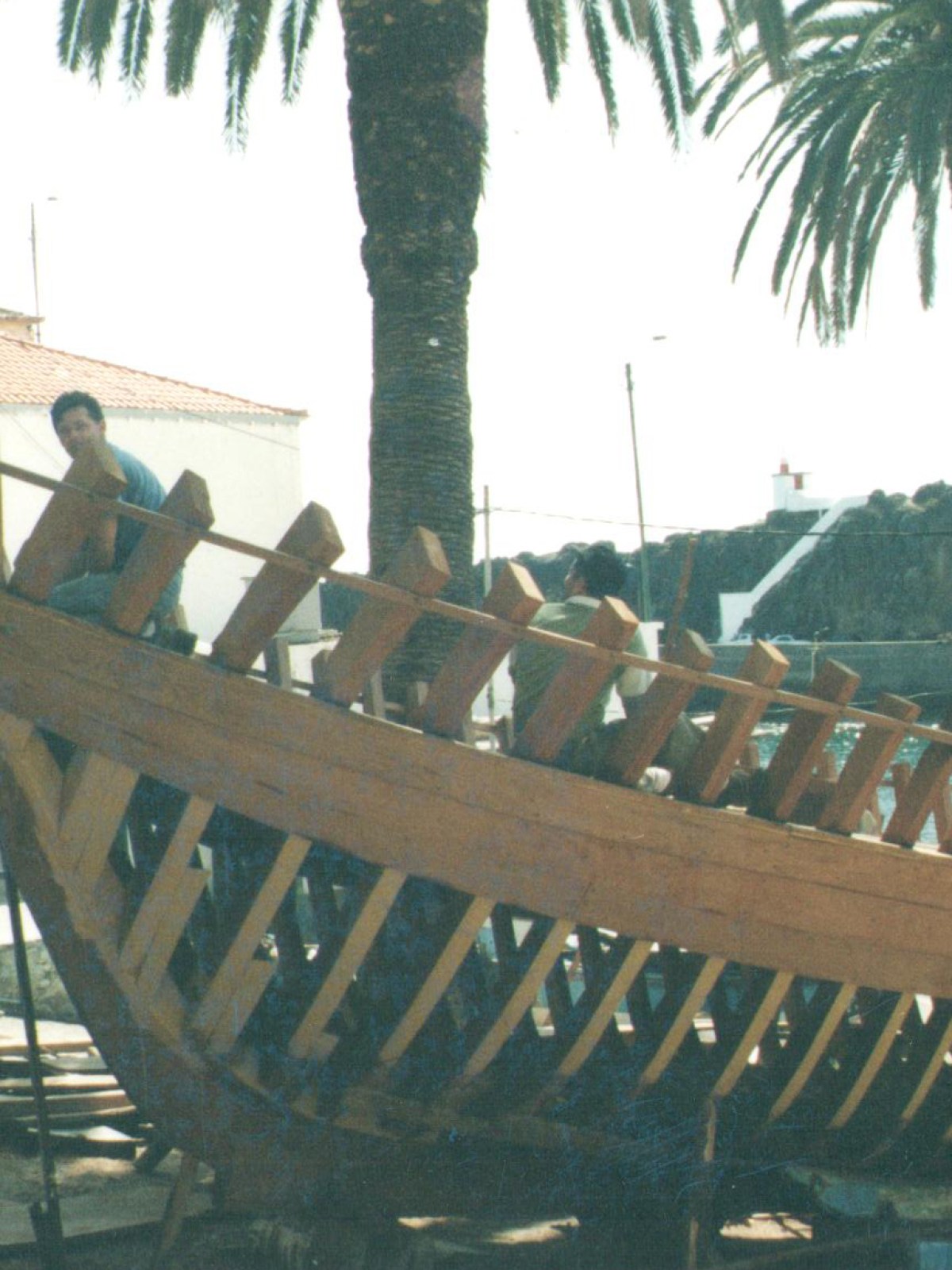 a dinosaur on a table