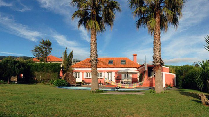 a large lawn in front of a palm tree