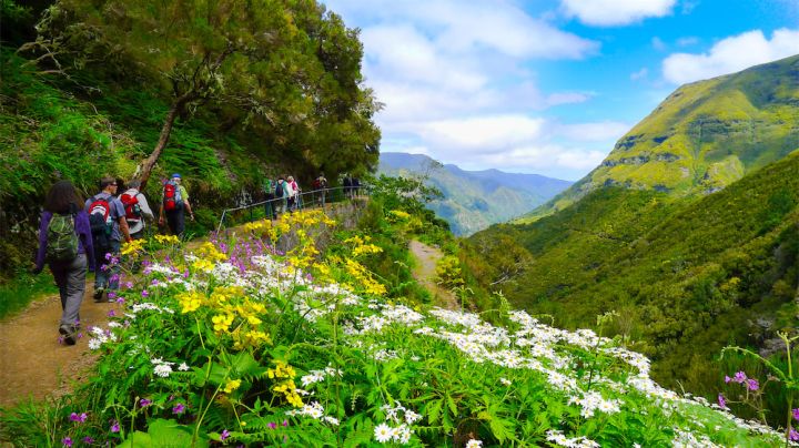 a group of people in a garden