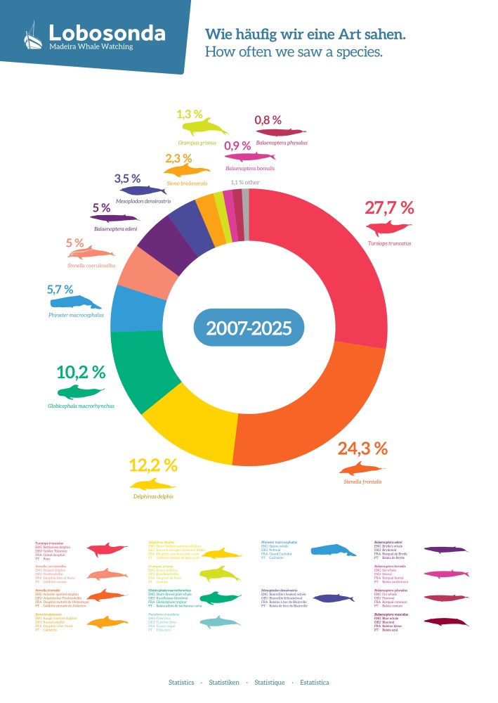 Colorful chart showing whale species sighting frequencies from 2007-2025 with species names and percentages.