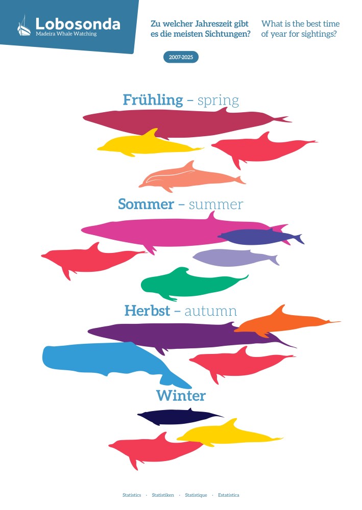 Colorful silhouettes of whales for each season with text: Spring, Summer, Autumn, Winter.