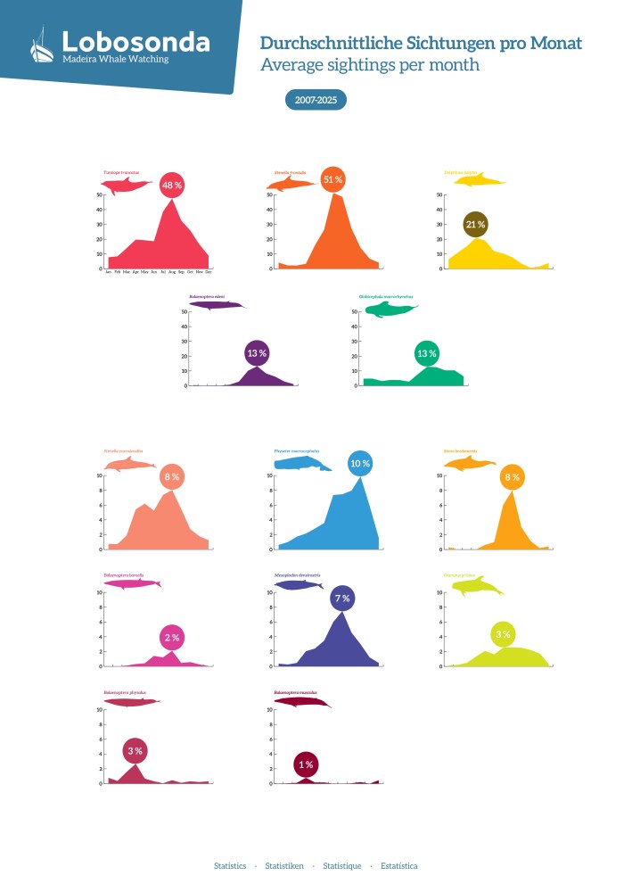 Infographic of whale sightings per month from 2007-2025, featuring colorful graphs and percentages.