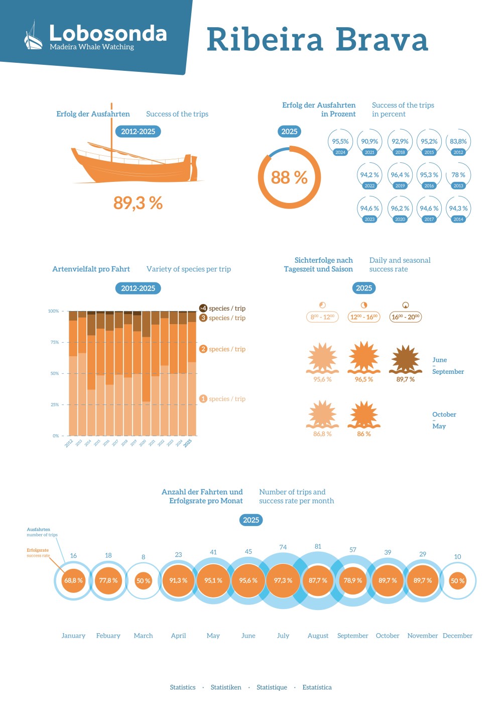 Infographic displaying whale watching success rates and species variety from 2012-2025 in Ribeira Brava.