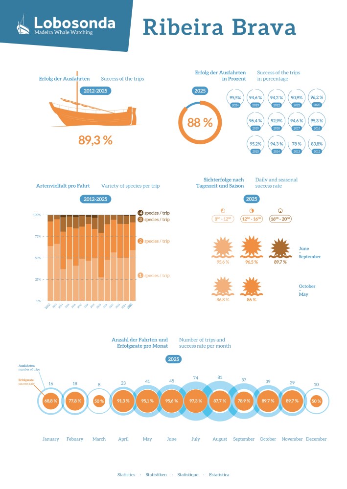 Infographic of Madeira whale watching statistics from 2012 to 2025, featuring success rates and species variety.